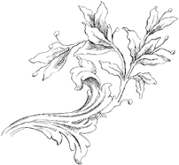 F386Blumenrankerechts