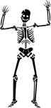 F752HalloSkelett1