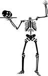 F753HalloSkelett2