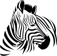 H4114Zebra