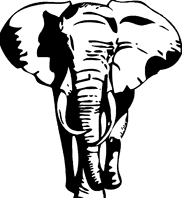 H4131Elefant