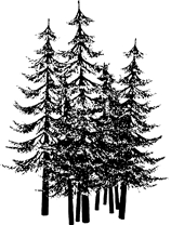 J3-191 Tannenbäume