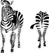 J4132ZebraSet