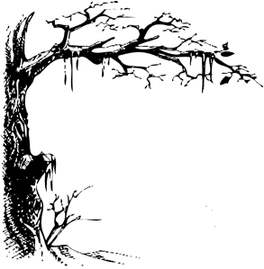 K3192Winterbaum