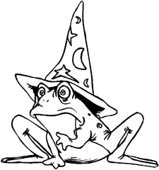 K6102Zauberfrosch