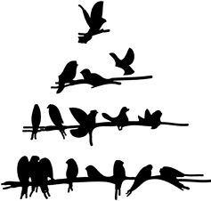 K764Vogeltannenbaum