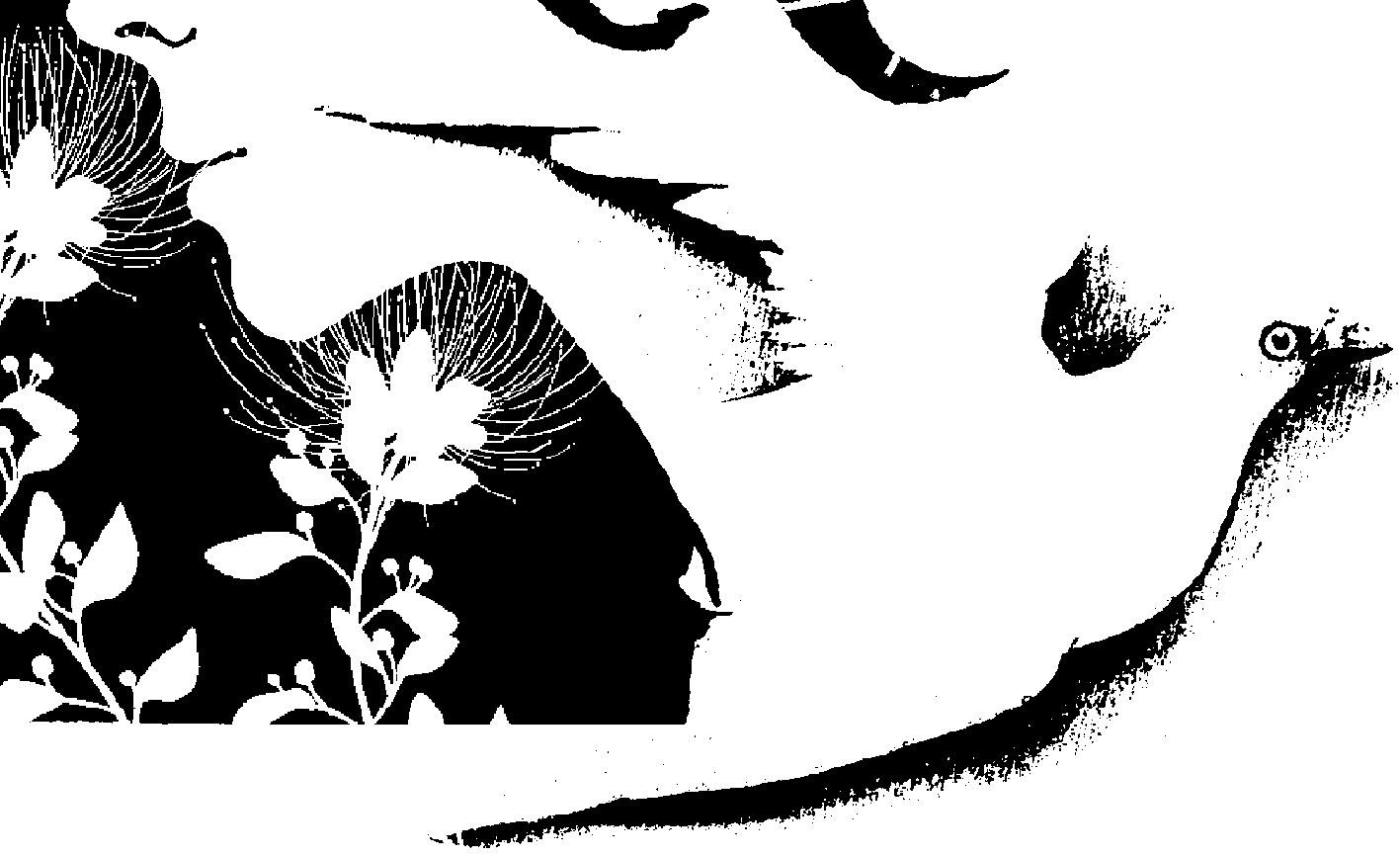 M692Blumenscript